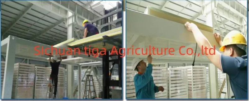 Oficina plegable de alta calidad Alojamiento econ&oacute;mico Casas prefabricadas plegables Casa prefabricada de acero (2)