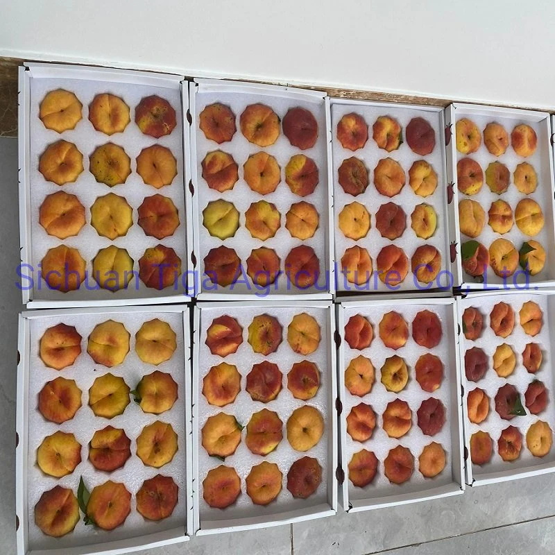 Org&aacute;nico-Nuevo-Sabor-Saludable-Fresco-Dulce-Verano-Joicy-Melocot&oacute;n (1)